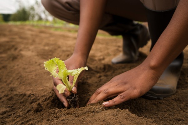 Environment and climate change