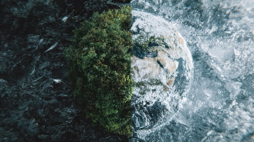 Environment and Climate Change